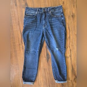 Judy Blue Men's Dark Wash Skinny Jeans